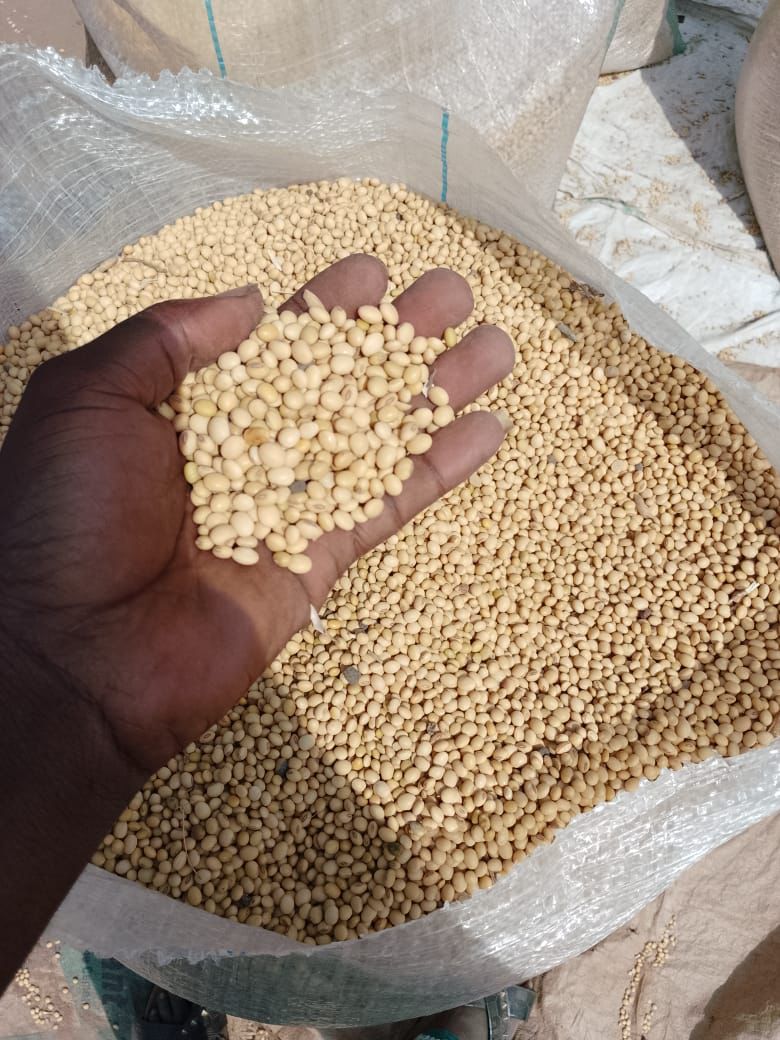 Farm commodity being inspected by hand