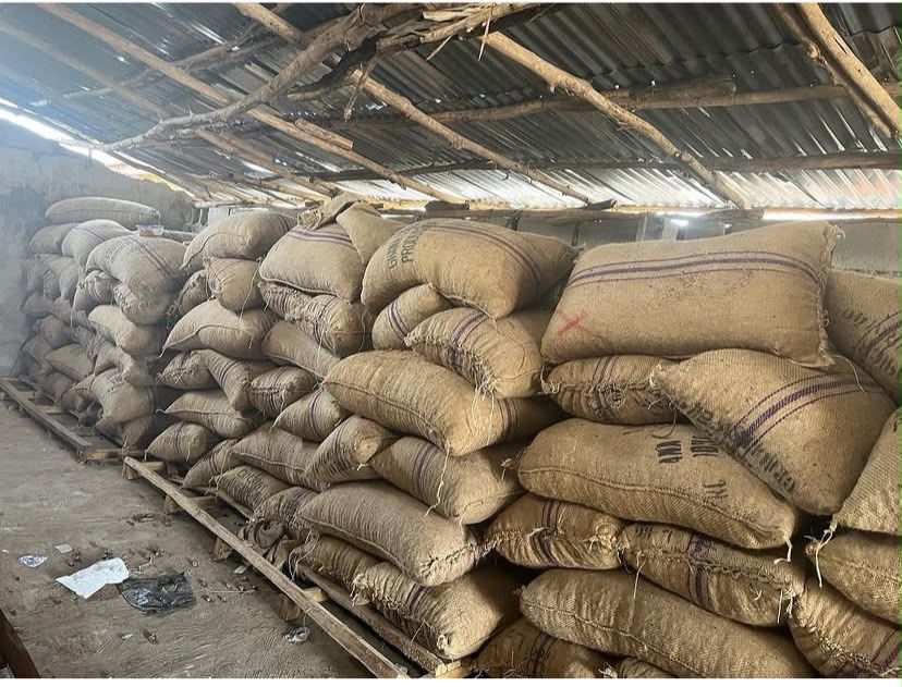 Bagged agricultural produce in storage